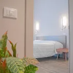 公寓 Suite Apartments *